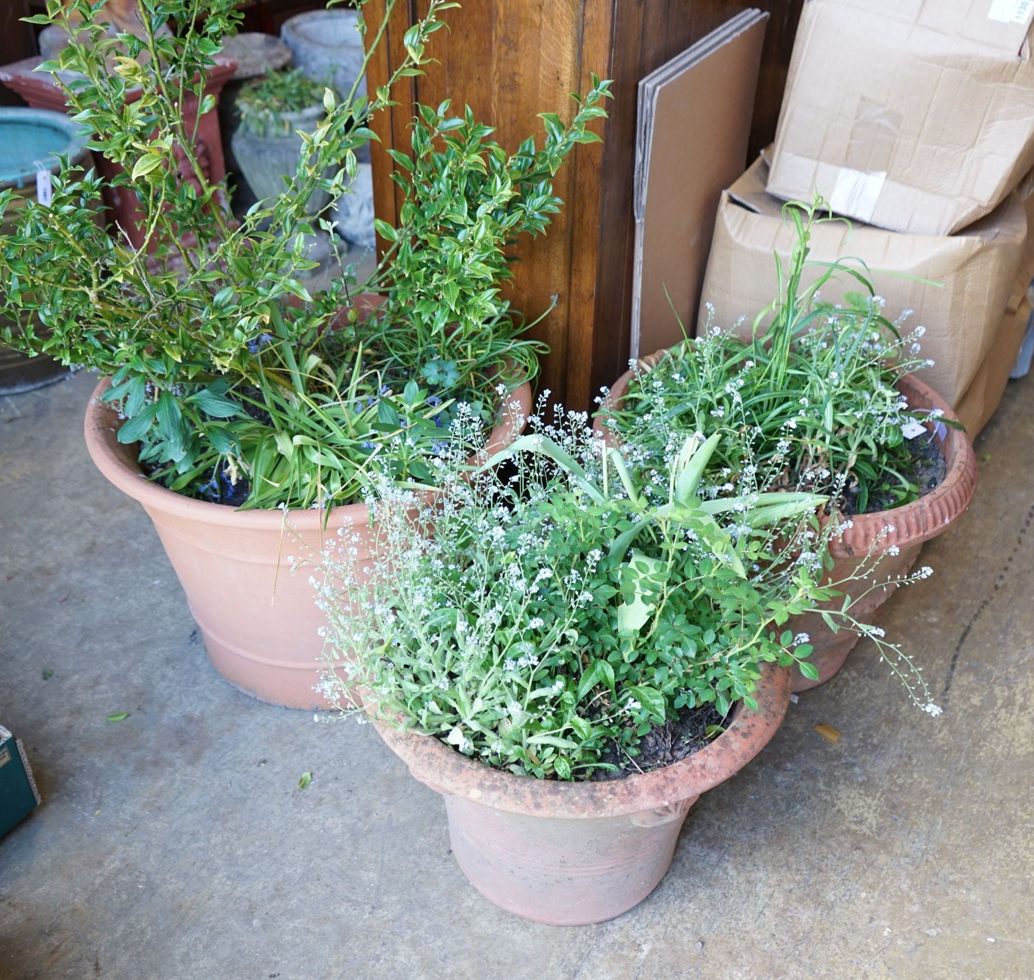 Three circular terracotta garden planters, largest diameter 77cm height 45cm